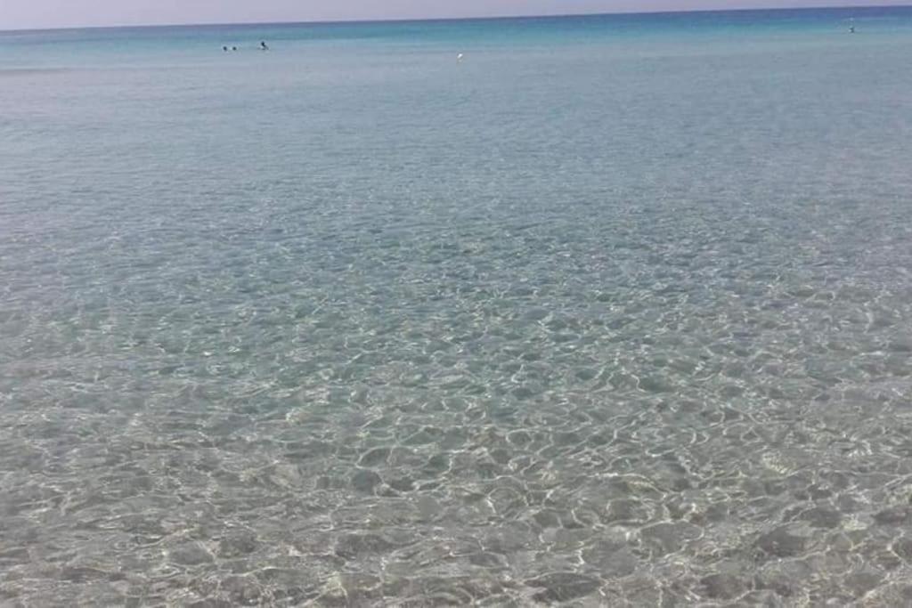 50M Dal Mare Caraibico Apartment Lido Marini Ngoại thất bức ảnh